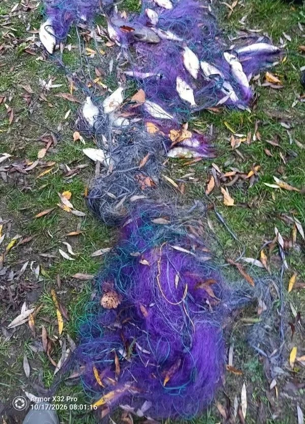 Майже 50 тисяч збитків за 5 кг риби: як шосткинець попався на браконьєрстві
