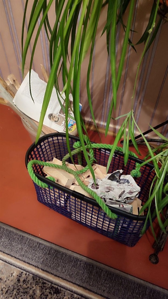 новини Шостки