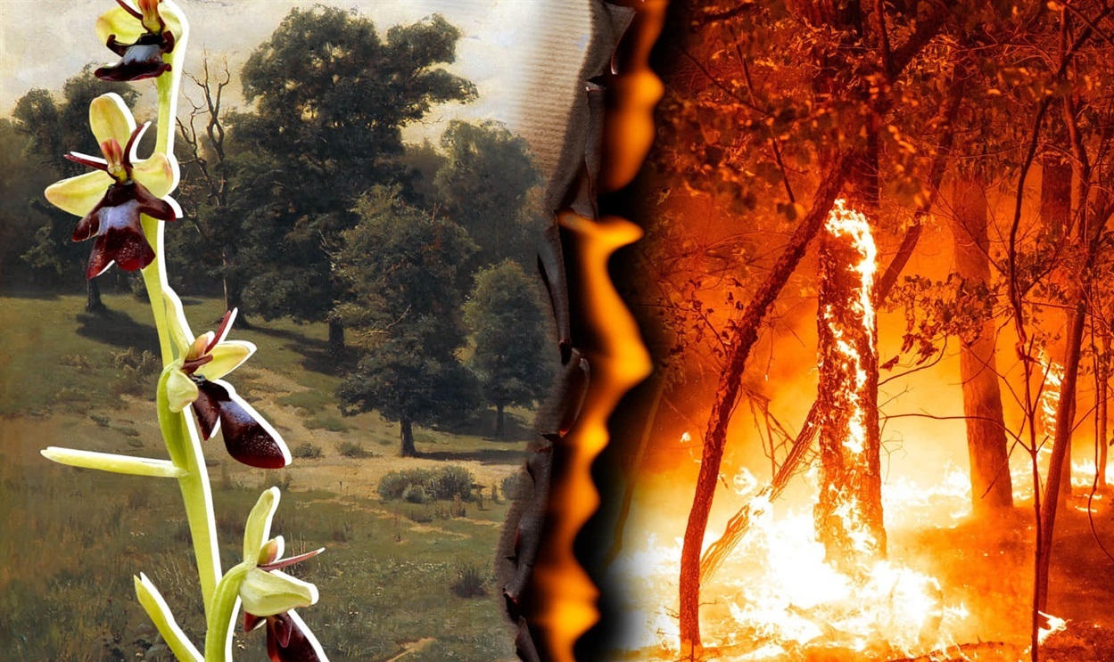 Між обстрілами та підготовкою до зими: як виживає Шосткинська громада