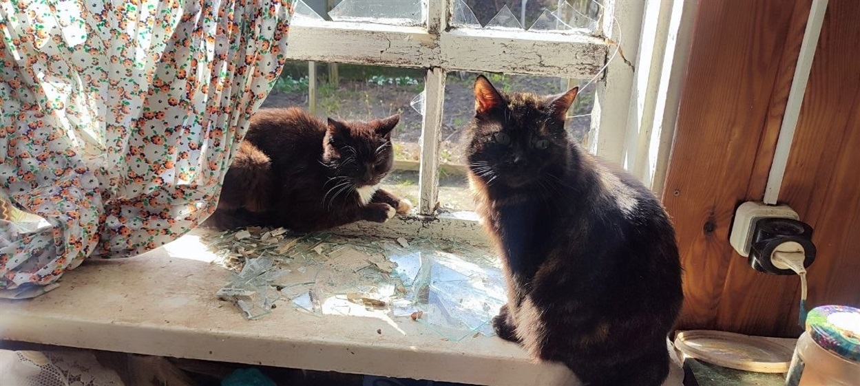 Наслідки терору в Шостці: містяни розповіли про пережите під час нічного обстрілу