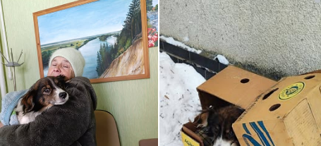 новини Шостки