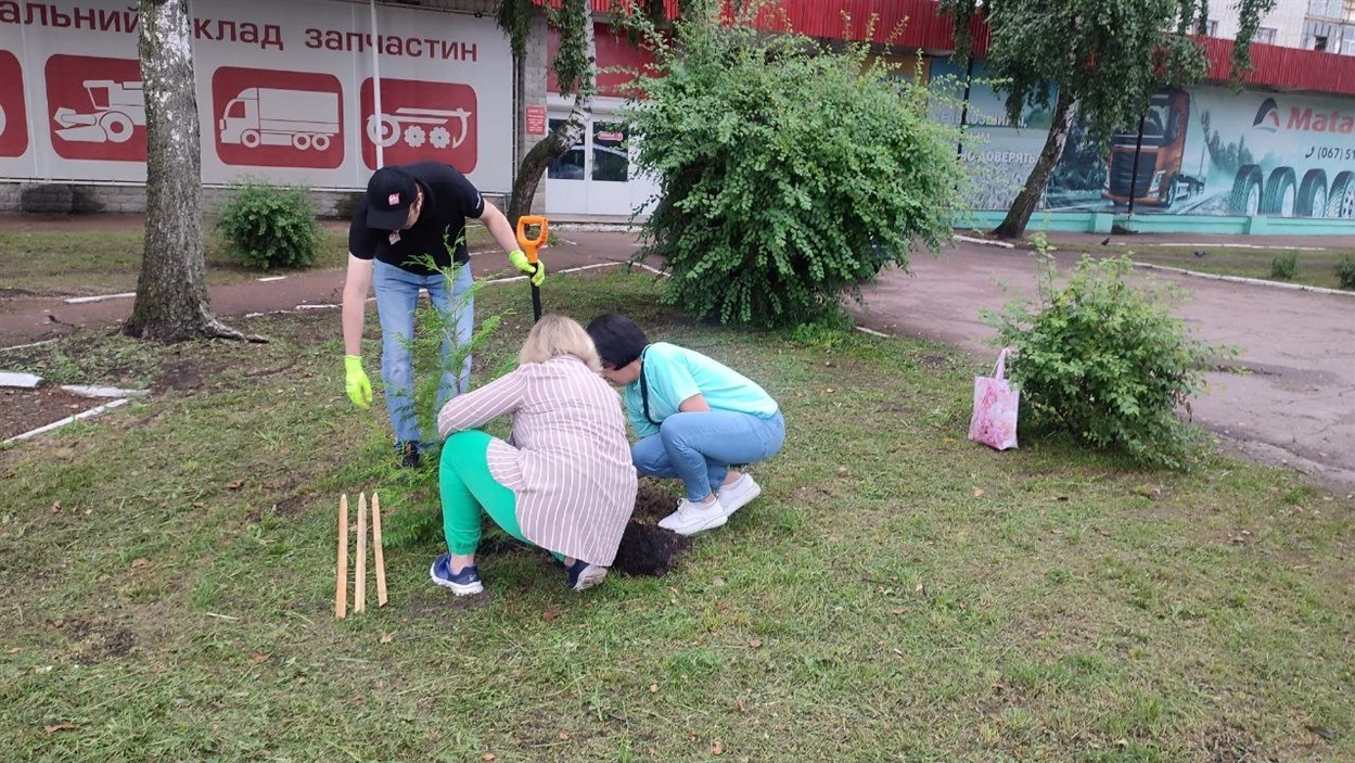 новини Шостки