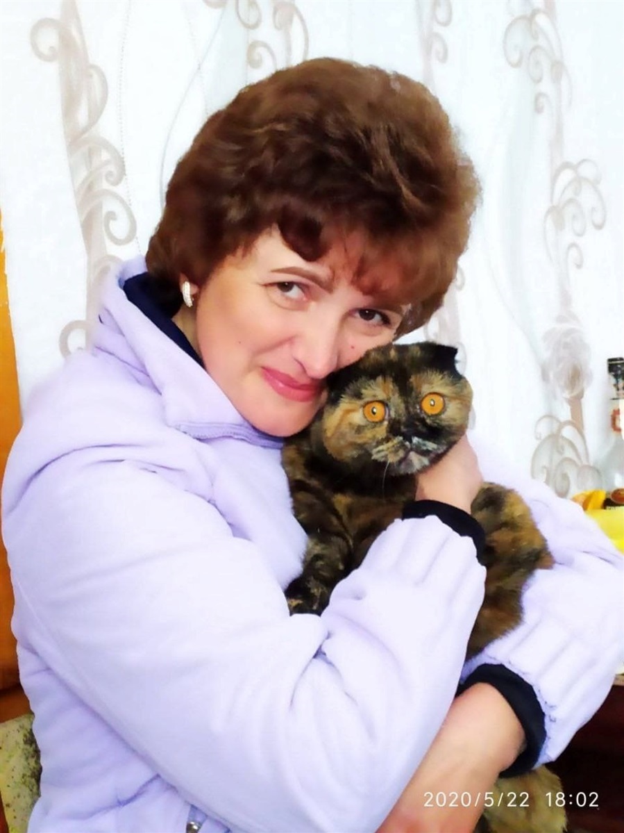 новини Шостки