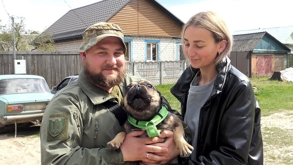 новини Шостки
