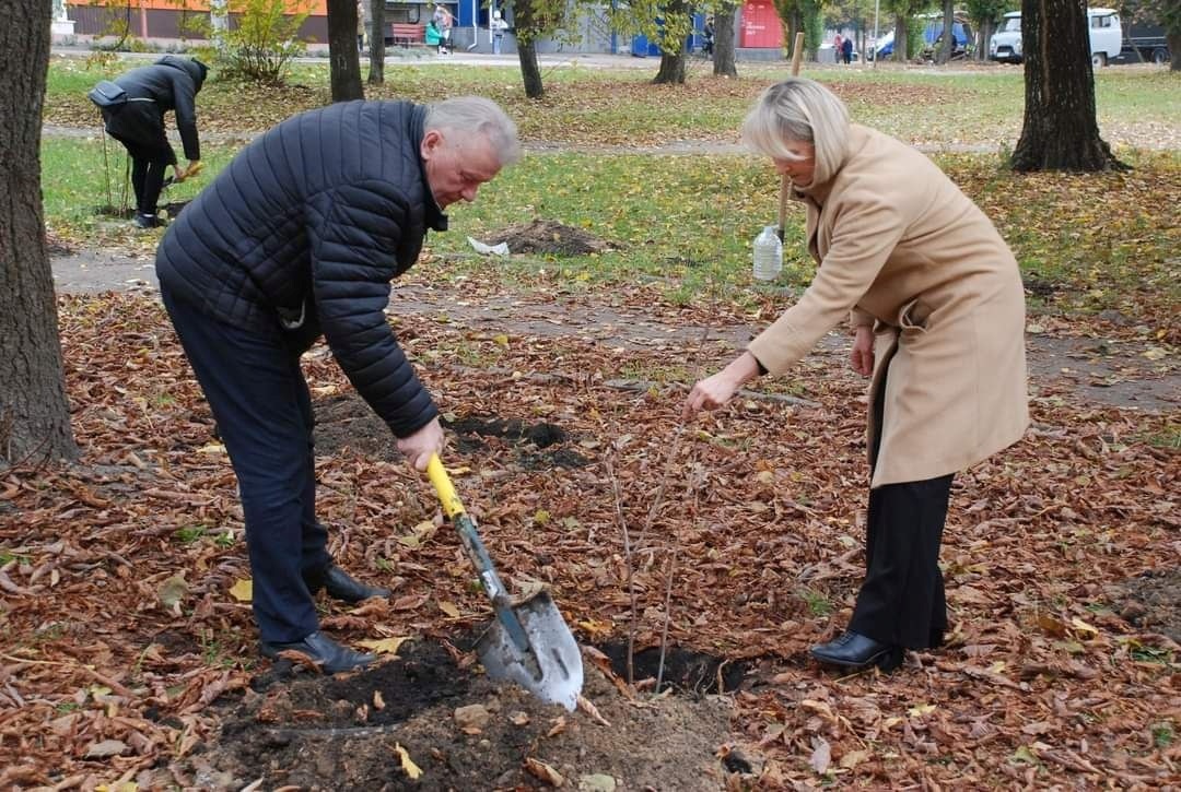 новини Шостки