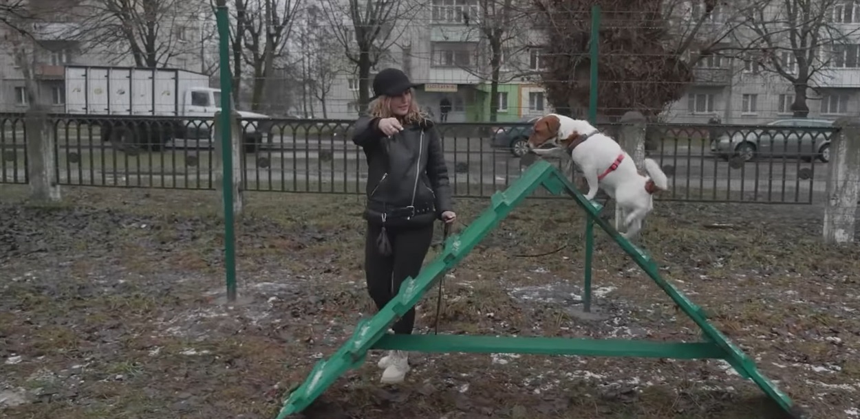 У Шостці відкрили перший майданчик для вигулу собак