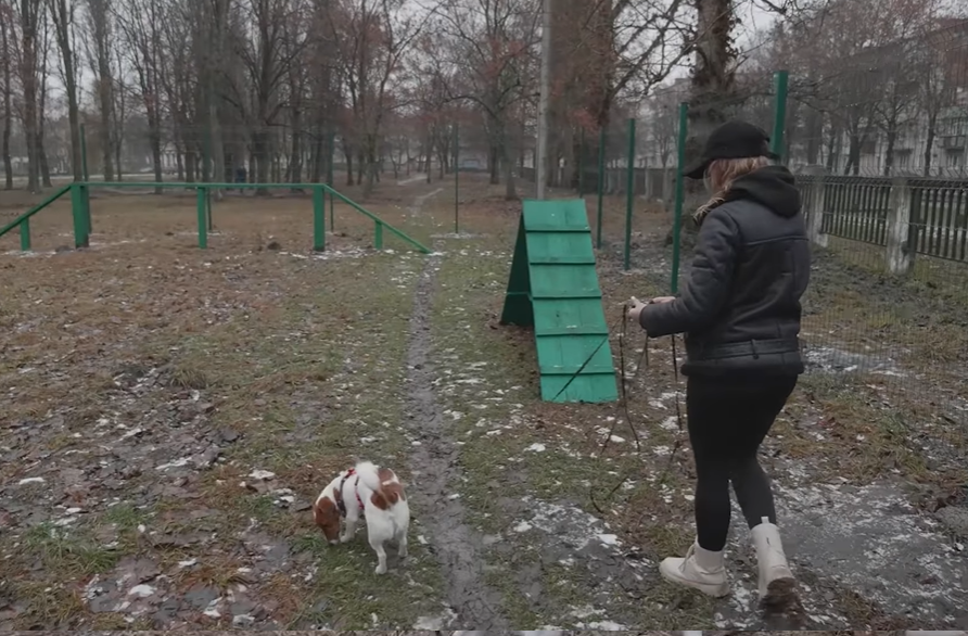 У Шостці відкрили перший майданчик для вигулу собак