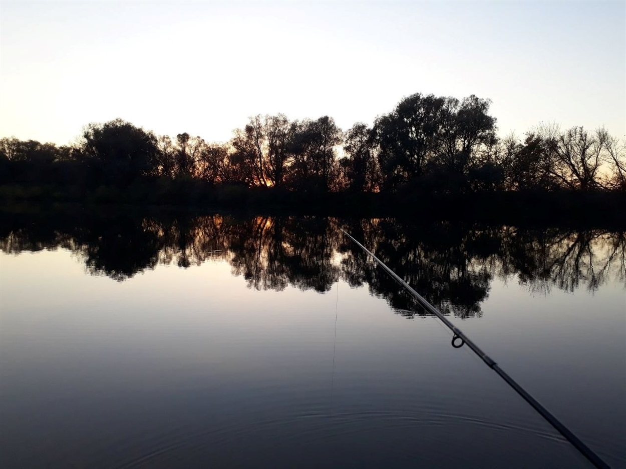 Дорогий улов: Інспектор попередив про штрафи до 5 тисяч гривень за одну рибину під час нересту