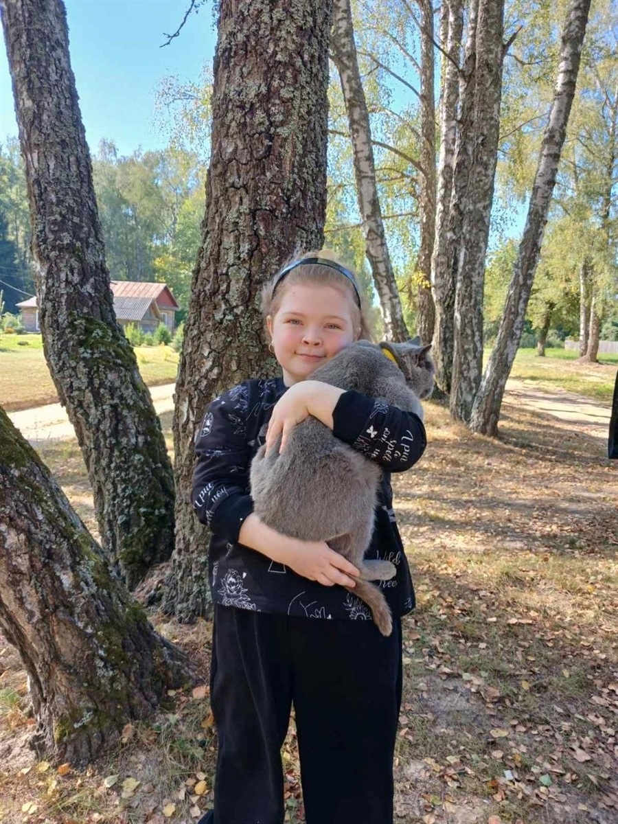 новини Шостки