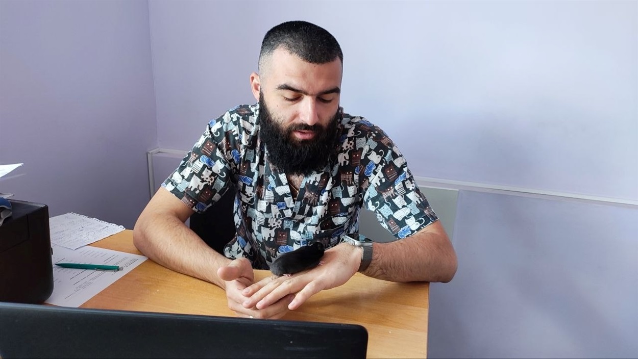 Віталій Бойко