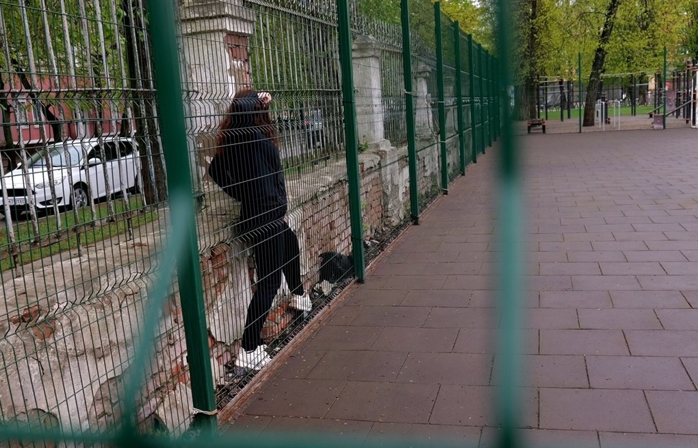 новини Шостки